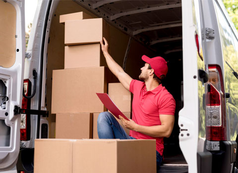 Domestic Courier & Cargo